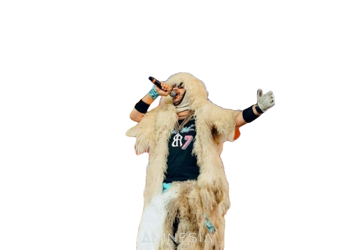 Veste en mouton de Savoie ( ou bien) de F.B